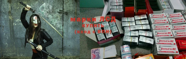 прущие крисы Балахна