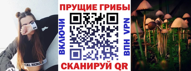 как найти   Чайковский  Галлюциногенные грибы ЛСД 